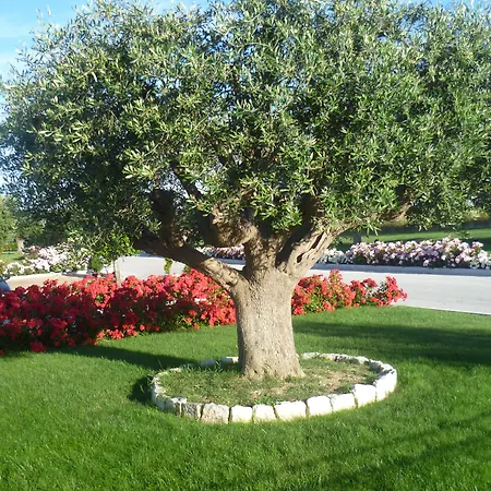 Couette-café Postiglione