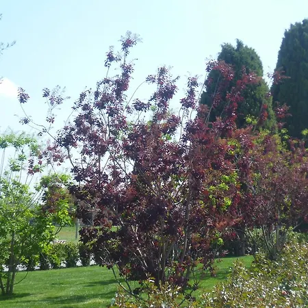 Postiglione 3* Cingoli