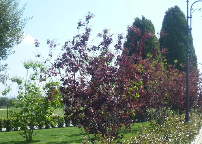 Postiglione 3* Cingoli